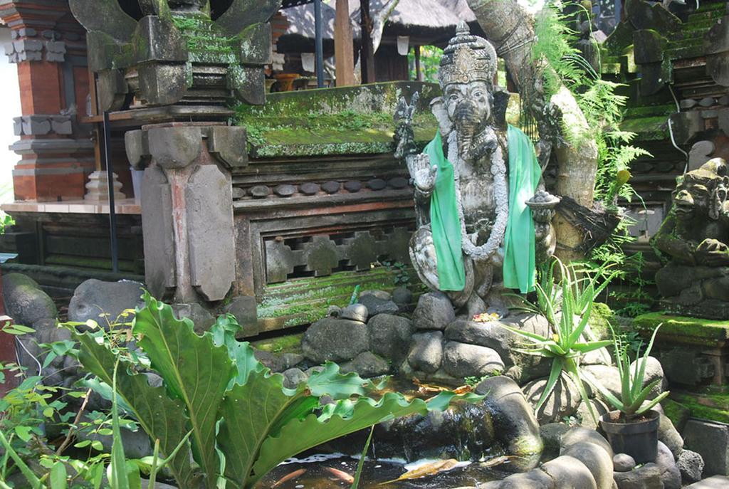 Bulan Bali Séjour chez l'habitant