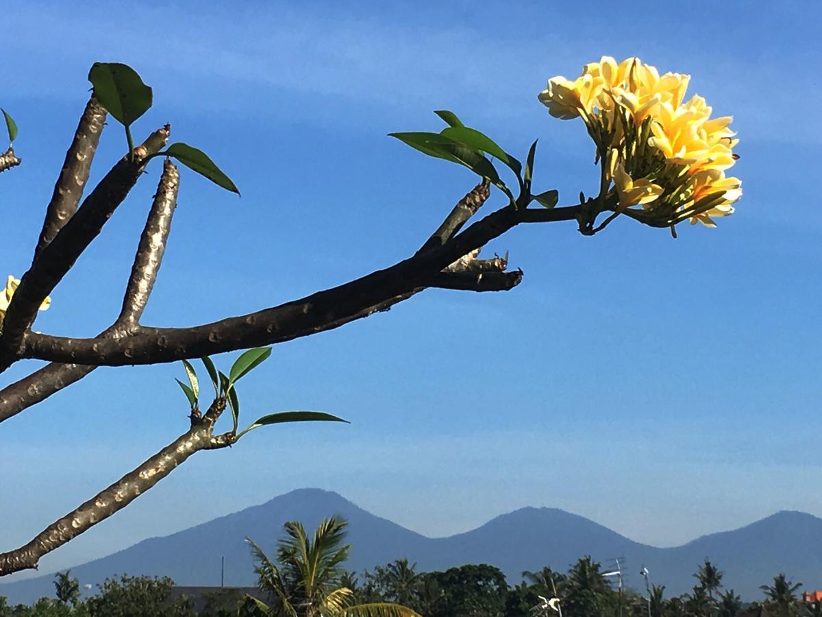 Bulan Bali Séjour chez l'habitant Ubud