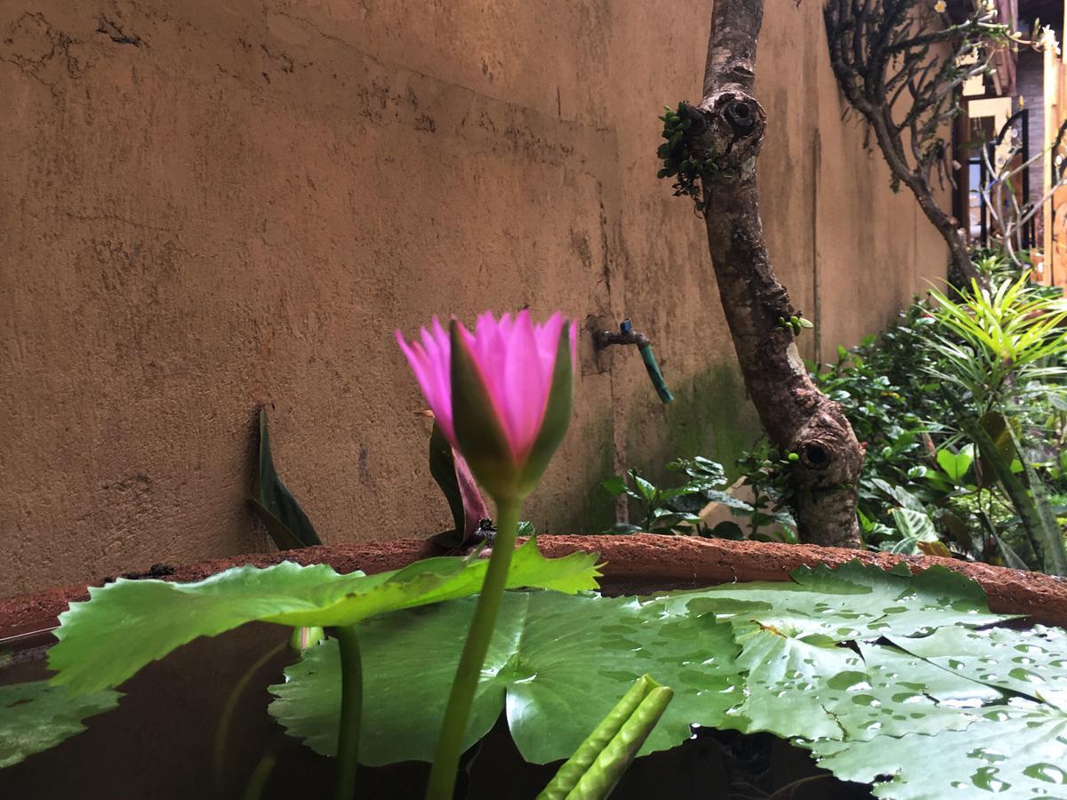 Bulan Bali * Ubud